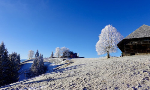 Luthern L&auml;deli