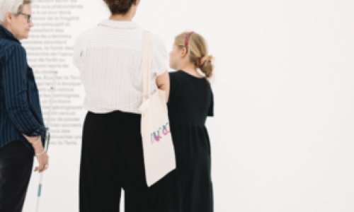 Visite commentée - Carte blanche à Kévin Germanier