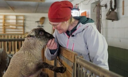 3Sat: Landwirtschaft trotz allem - Zwischen Verlust und Umbruch