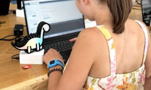 Camp de vacances d'automne: Dessin et programmation