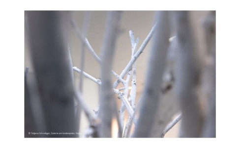 Martina Morger: &laquo;Gathering / Aasammleg&raquo;