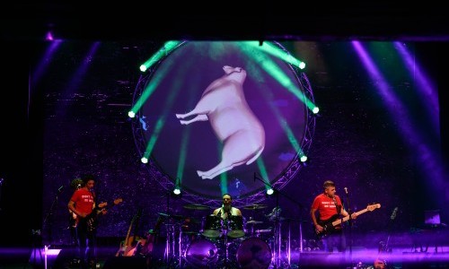 Pink Floyd Immersion – Animals Tour