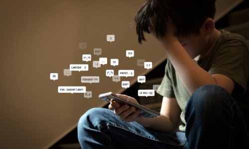 Cybermobbing
