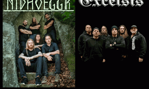 Nidhoeggr x Excelsis