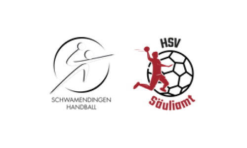 Schwamendingen Handball - HSV S&auml;uliamt 3