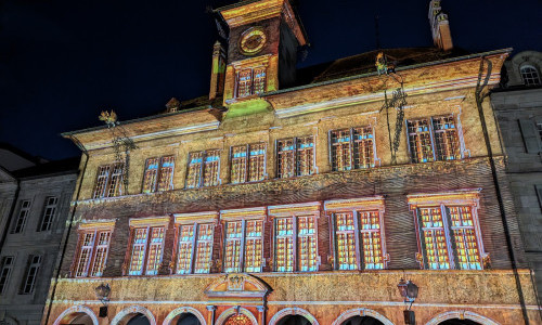 Dear2050: Entangled Forests - Forum de l'H&ocirc;tel de Ville, Lausanne