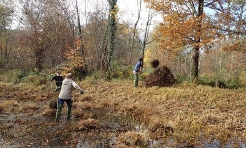 Pflege im Eichholz