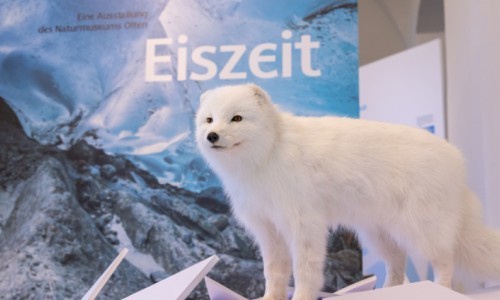 Warmzeit &ndash; Finissage am Internationalen Museumstag