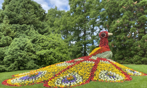 Schlossgarten Insel Mainau