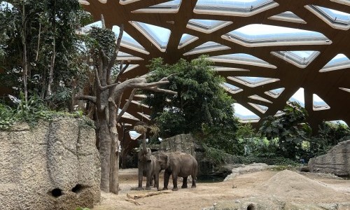 Zoo Zürich