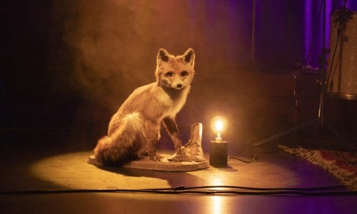 Molton-Abschieds-Festival