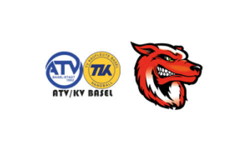 SG Handball Basel-Stadt - TSV Frick