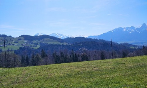 Steffisburg Musterplatz