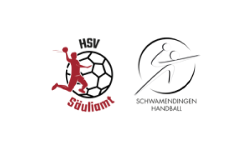 HSV S&auml;uliamt 2 &deg; - Schwamendingen Handball