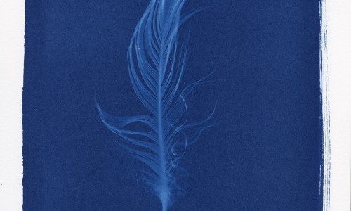 Kaspar Ruoff &ndash; himmelw&auml;rts: Federn in Blau