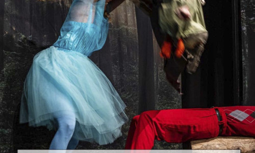 ZAUBERFL&Ouml;TE