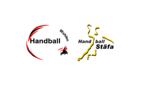 Handball Wohlen - Handball St&auml;fa