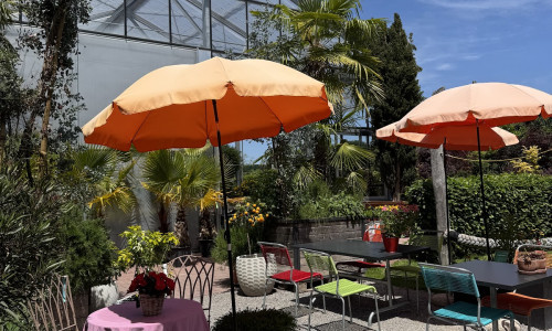 Caf&eacute; Fleuri