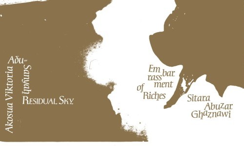 Akosua Viktoria Adu-Sanyah &ndash; Residual Sky