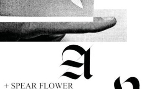 Mean, Spear Flower