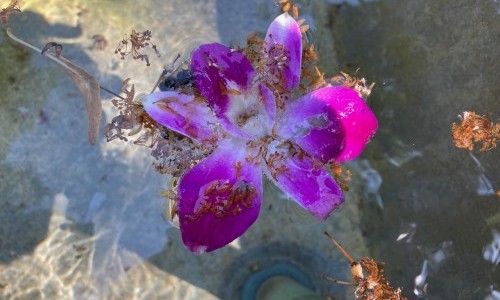 Zwischen Fl&uuml;ssen und H&auml;usern