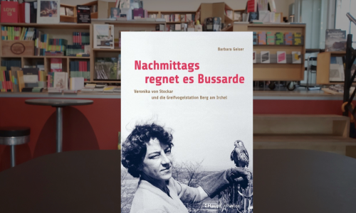 Barbara Geiser ● Nachmittags regnet es Bussarde