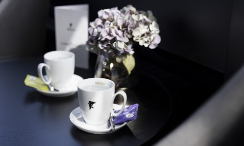 Tea Time auf dem Zugersee