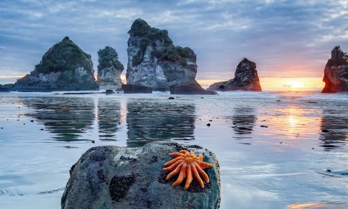 Explora pr&auml;sentiert: Wunderwerk Natur