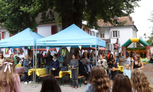 Roseneggfest