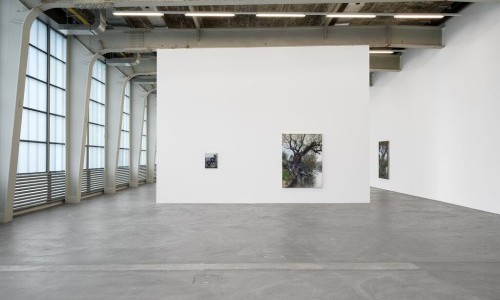 Karol Palczak – Dzisiaj