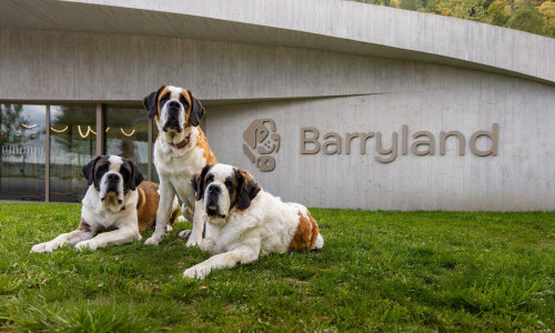 Barryland