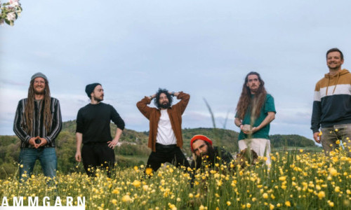 The Ammonites &ndash; The Golden Rule