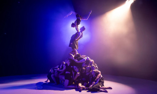 Copenhagen Collective: &laquo;the genesis&raquo;