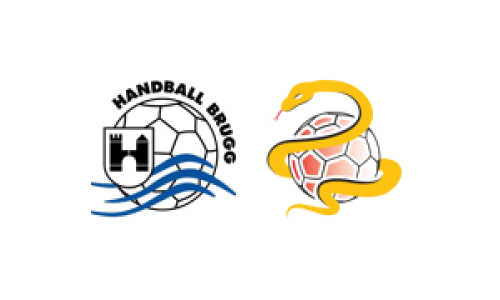 HSG Handball Brugg - SG Lachen/H&ouml;fe