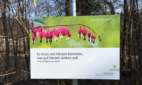 Reusspark - Zentrum f&uuml;r Pflege und Betreung