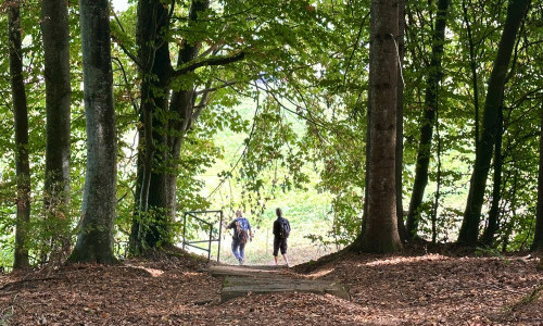 Von St. Ursen nach Zumholz