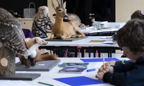 Tierzeichnen am Abend