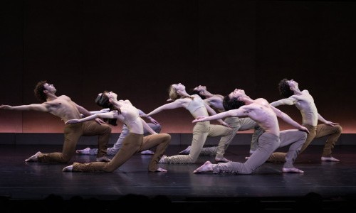 Tanzperformance Bundesjugendballett
