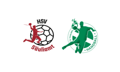 HSV Säuliamt 2 ° - SG THW Handball Turnier