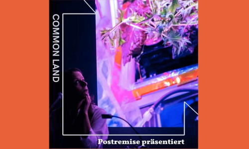 Common Land - Trickster-p