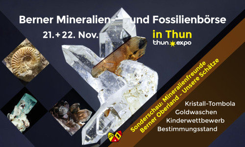 Berner Mineralien- und Fossilienb&ouml;rse in Thun