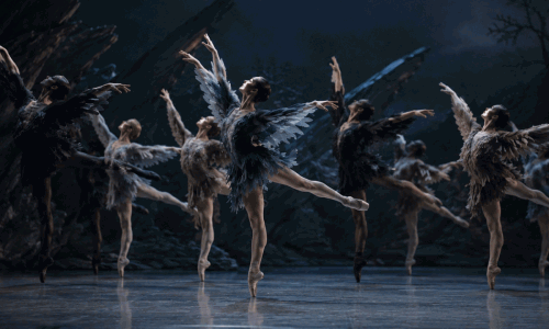 Das Ballett Z&uuml;rich & &laquo;Oiseaux Rebelles&raquo;