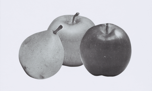 Schätze lüften – Aus der Sammlung des Fördervereins, Teil III