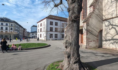 Schule Theodor