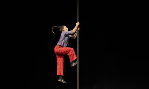 Chinese Pole Beginner