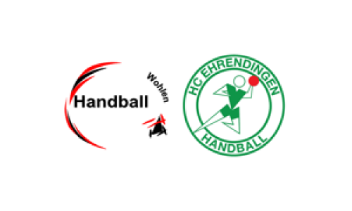 SG Freiamt F - HSG Ehrendingen-Wehntal