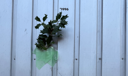 30 Jahre domizil