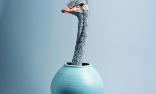 Claude Kuhn &ndash; Le&ccedil;on de Choses