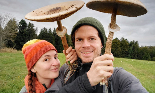 Pilze & Kr&auml;uter