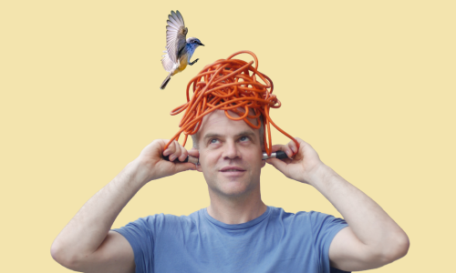Fliegen F&ouml;gel falsch?